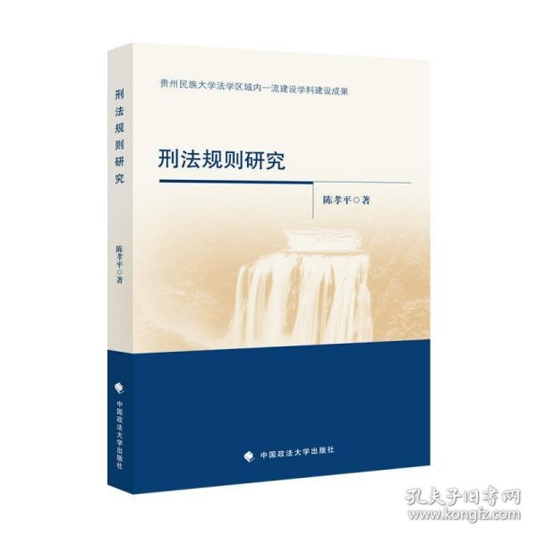 刑法规则研究 陈孝平中国政法大学出版社9787562090779