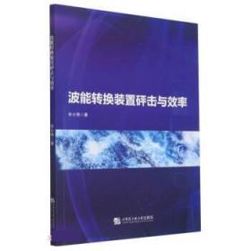 波能转换装置砰击与效率 9787566124586 孙士艳 哈尔滨工程大学出