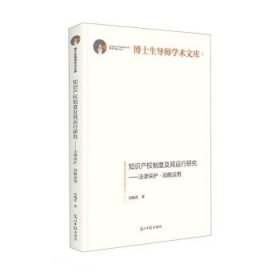 知识产权制度及其运行研究：法律保护·战略运用