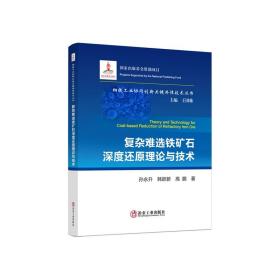 复杂难选铁矿石深度还原理论与技术/钢铁工业协同创新关键共性技术丛书