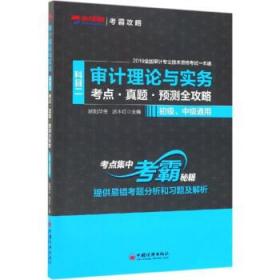 审计理论与实务（科目二考点·真题·预测全攻略初级、中级通用）