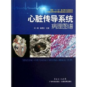 心脏传导系统病理图谱 宋一璇,姚青松广东科技出版社