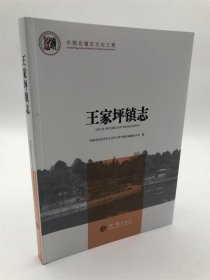 王家坪镇志/中国名镇志文化工程