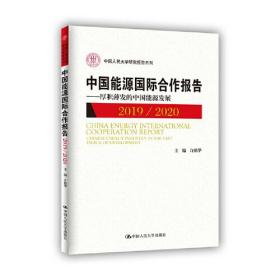 中国能源国际合作报告：2019/2020：2019/2020：厚积薄发的中国能源发展：Chinese energy industry in the fast track of development