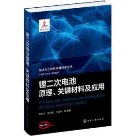 先进化工材料关键技术丛书--锂二次电池原理、关键材料及应用