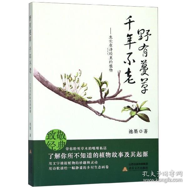 野有蔓草千年不老：生长在诗经里的植物