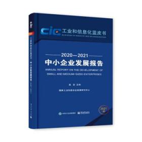 中小企业发展报告（2020—2021）