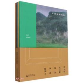 西部画家画集（全5册） 罗文帝,龙义敏,杨洋,周泽,陈登文 著广西