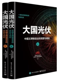 大国光伏：中国王牌制造业的突围与崛起（上、下）