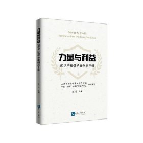 力量与利益：知识产权保护案例启示录