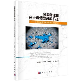 深埋藏滩相白云岩储层形成机理：以川中地区下寒武统龙王庙组为例