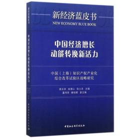 中国经济增长动能转换新活力：中国（上海）知识产权产业化综合改革试验区战略研究