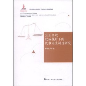 公正高效权威视野下的民事司法制度研究 宋朝武 等 著中国人民公