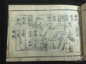 【良药马疗辨解】5卷1册全，洛隐士似山子著，书中有马形图、针灸、续命丹等石药草木部日本家传药方，古代治马兽医方，宽政8年版