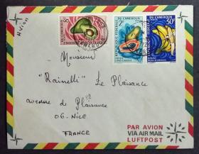 喀麦隆实寄封：喀麦隆寄法国国际实寄封（贴“水果系列-番木瓜（第二枚）2/9、鳄梨（第七枚）7/9、尖叶蕉（第九枚）9/9”邮票）