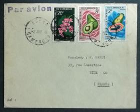 喀麦隆实寄封：喀麦隆寄法国国际实寄封（贴“水果系列-番木瓜（第二枚）2/9、鳄梨（第七枚）7/9、花卉系列-珊瑚藤（第三枚）3/6”邮票）