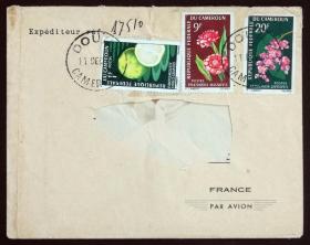 喀麦隆共和国实寄封：喀麦隆寄法国国际实寄封（贴“水果系列-柚子（第一枚）1/9、花卉系列-瓷玫瑰（Phaeomeria magnifica）（第一枚）1/6、珊瑚藤（Antigonon leptopus）（第三枚）3/6”邮票）