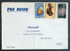 喀麦隆实寄封：喀麦隆寄法国国际实寄封（贴“水果系列-椰子（第五枚）5/9、非洲攀缘植物-大果西番莲、喀麦隆雕刻（第二枚）2/2”邮票）