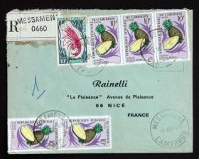 喀麦隆实寄封：喀麦隆寄法国国际实寄封（贴“水果系列-菠萝（Ananas comosus）（第八枚）7/9、鱼和甲壳类动物系列-西班牙绯红虾（Plesiopenaeus edwardsianus）（第八枚）8/10”邮票）