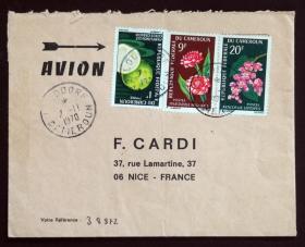 喀麦隆实寄封：喀麦隆寄法国国际实寄封（贴“水果系列-柚子（第一枚）1/9、花卉系列-瓷玫瑰（第一枚）1/6、珊瑚藤（第三枚）3/6”邮票）