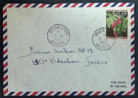喀麦隆实寄封：喀麦隆寄法国国际实寄封（贴“喀麦隆水果-欧洲李（第三枚）3/4”邮票）