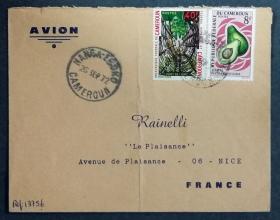 喀麦隆实寄封：喀麦隆寄法国国际实寄封（贴“水果系列-牛油果（鳄梨）（第七枚）7/9、农村生活（第一枚）1/2 ”邮票）