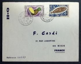 喀麦隆实寄封：喀麦隆寄法国国际实寄封（贴“鱼类和甲壳类动物-欧洲鳎（第四枚）4/10、水果系列-菠萝（第八枚）8/9”邮票）