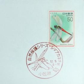 日本首日封：1977年自然保护系列（自然保護シリーズ）《第4集 -昆虫 -小笠原线蜻蜓（岛宏蜻蜓）》首日封（盖“小笠原线蜻蜓（岛宏蜻蜓）、小笠原”纪念邮戳）N-7126