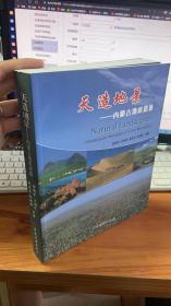 天造地景 : 内蒙古地质遗迹