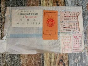 老车票、火车票等10张（1981年中坝到成都，成都到中坝、江油、成都市内公交车票等，实物照片）