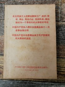 中国共产党第八届十一次中央委员会全会公报（1966年3篇文献）