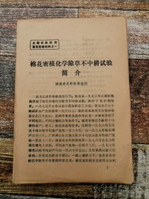 湖南：棉花密植化学除草不中耕试验简介（1977年）