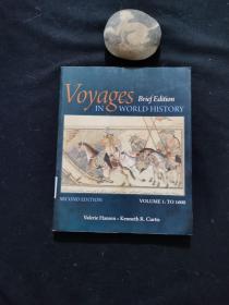 Voyages Brief Edition IN WORLD HISTORY