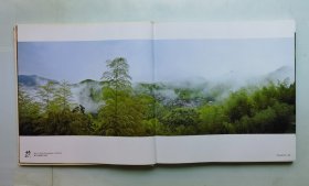 竹韵 – 秦盱丰摄影作品集