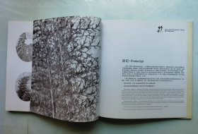 竹韵 – 秦盱丰摄影作品集