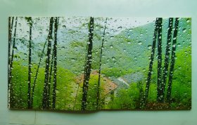 竹韵 – 秦盱丰摄影作品集