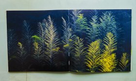 竹韵 – 秦盱丰摄影作品集