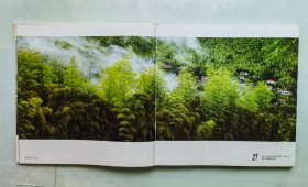 竹韵 – 秦盱丰摄影作品集