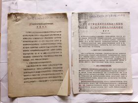 1981年《关于解决葛洲坝水利枢纽工程影响长江水产资源的几个问题的建议》.(一共是两份名称不同，但内容一样的资料，详见图示)