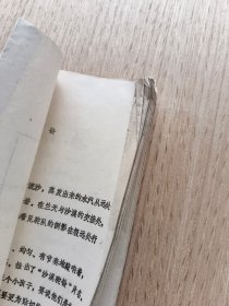 1988年电视文学剧本初稿：沙漠驼铃
