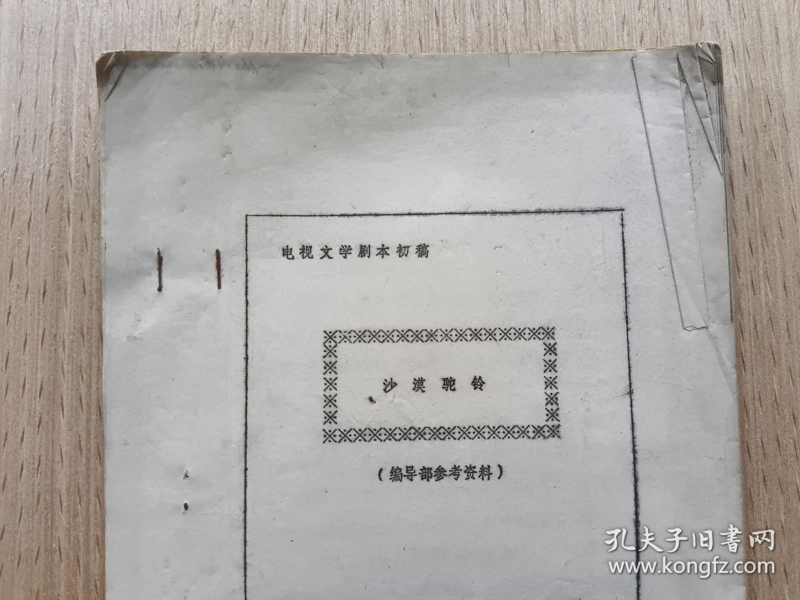 1988年电视文学剧本初稿：沙漠驼铃