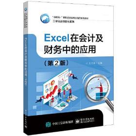 Excel在会计及财务中的应用（~2版）