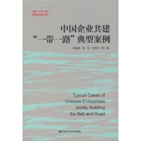 中国企业共建“一带一路”典型案例（共建“一带一路”高质量发展丛书）