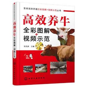 高效养牛全彩图解+视频示范/畜禽高效养殖全彩图解+视频示范丛书