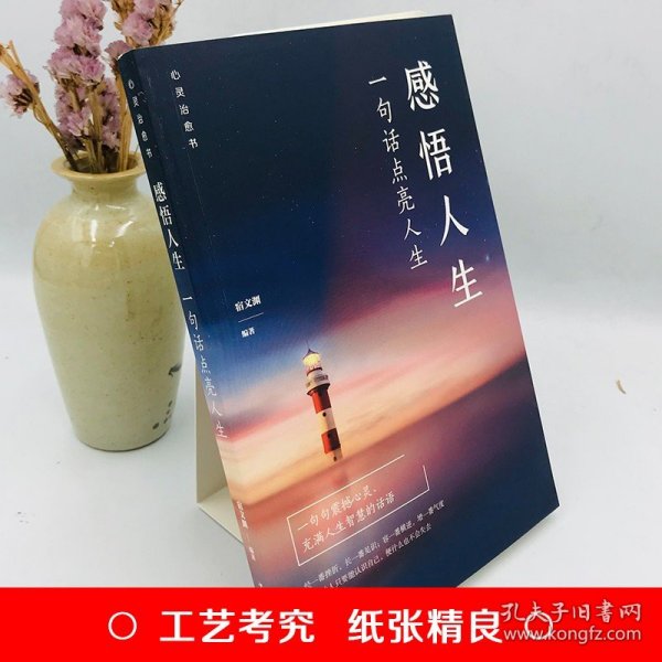 了不起的我：自我发展的心理学