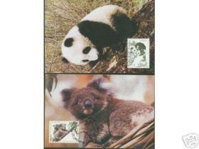 中国 1995 澳大利亚 联合发行 大熊猫 考拉 总公司极限片 2全 MC-23