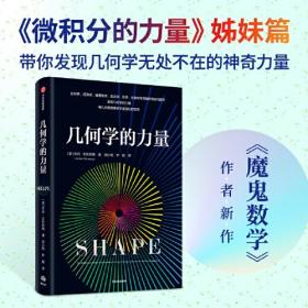 几何学的力量 乔丹艾伦伯格著 数学科普读物 微积分的力量姊妹篇 魔鬼数学作者新作 中信出版社