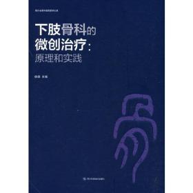 下肢骨科的微创治疗：原理和实践（精装）