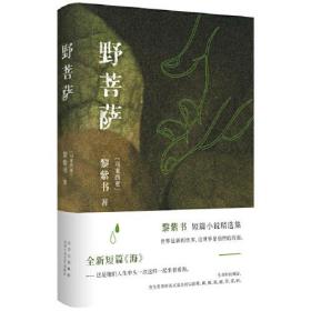 正版野菩萨（黎紫书短篇小说精选集，特别收入全新短篇《海》，王德威倾力推荐）