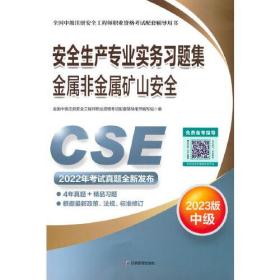安全生产专业实务习题集.金属非金属矿山安全9787502099251